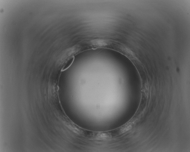 X0000073930330200608181121