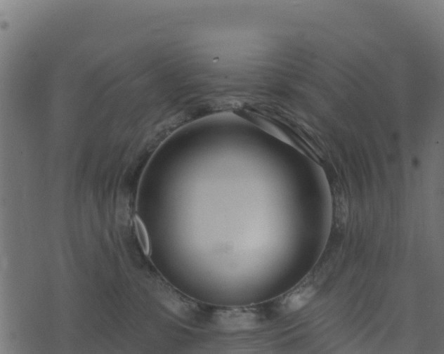 X0000073930331200608181121