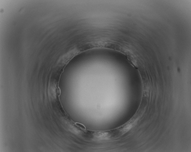 X0000073930334200608181121