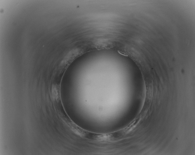 X0000073930335200608181121