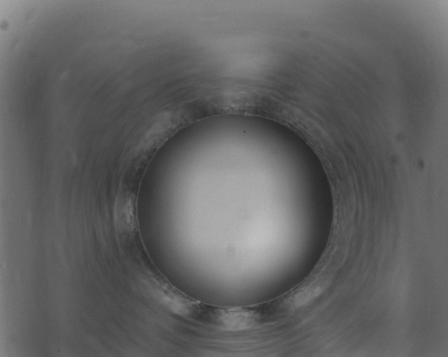 X0000073930336200608181121