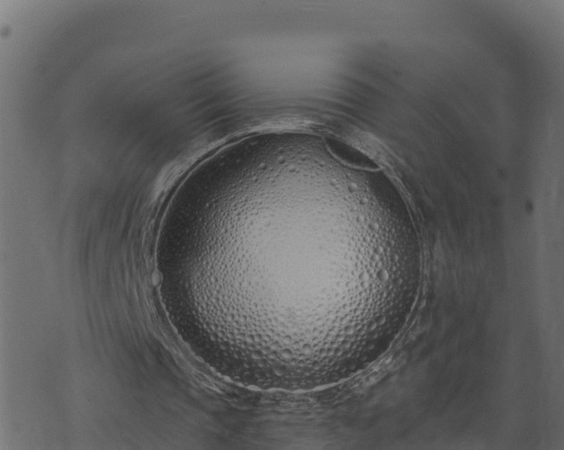 X0000073930337200608181120