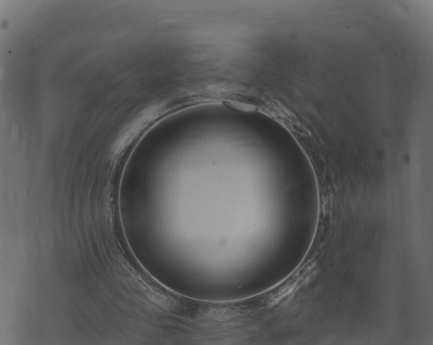 X0000073930341200608181120