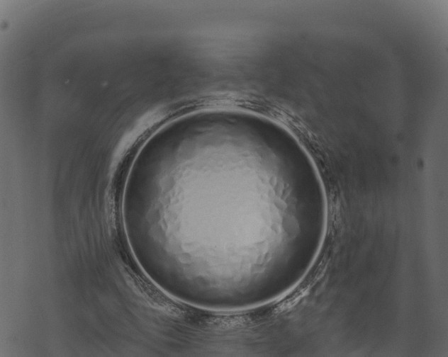 X0000073930343200608181120