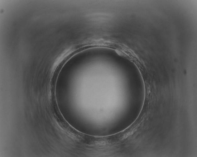 X0000073930344200608181120