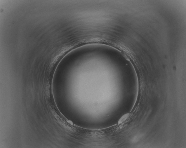 X0000073930345200608181120