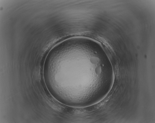 X0000073930346200608181120