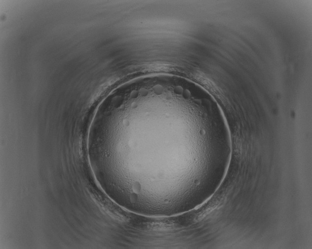 X0000073930347200608181120