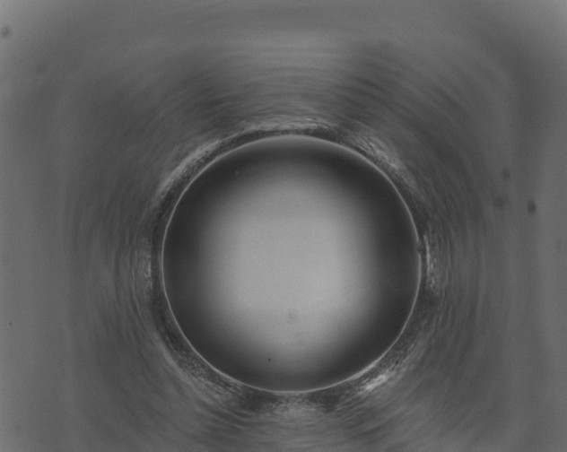 X0000073930348200608181120