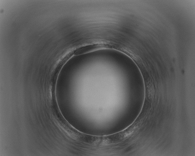 X0000073930350200608181120