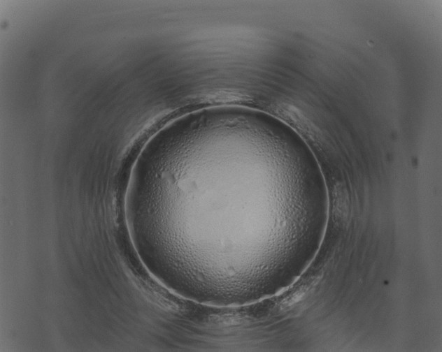 X0000073930351200608181120