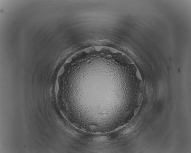 X0000073930357200608181120