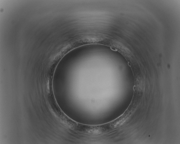 X0000073930358200608181120