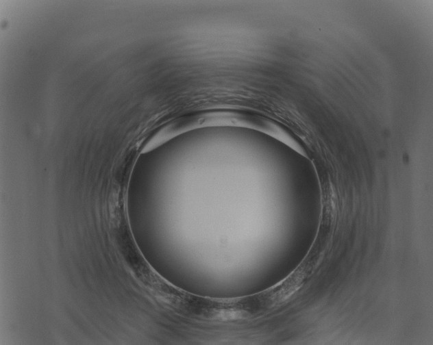 X0000073930360200608181120