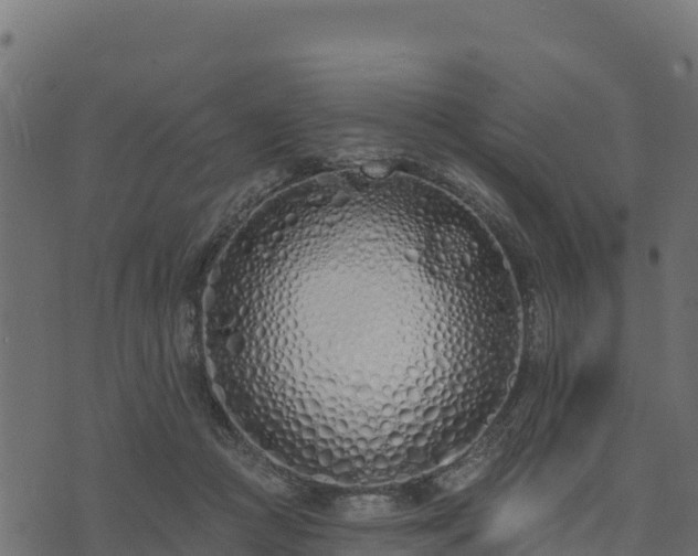 X0000073930361200608181120