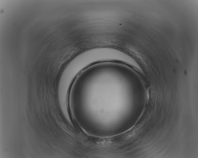 X0000073930362200608181120