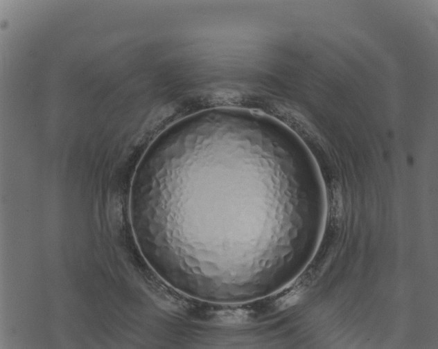 X0000073930363200608181120