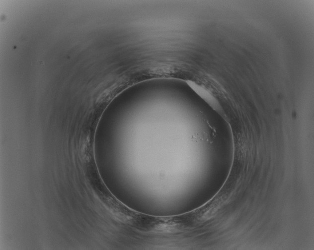 X0000073930364200608181120