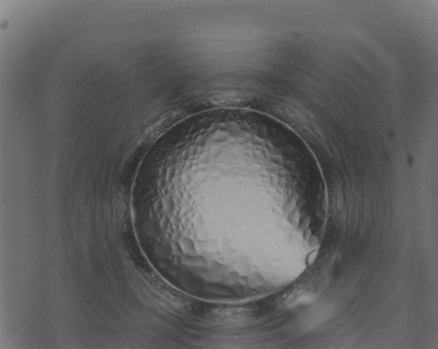 X0000073930367200608181120