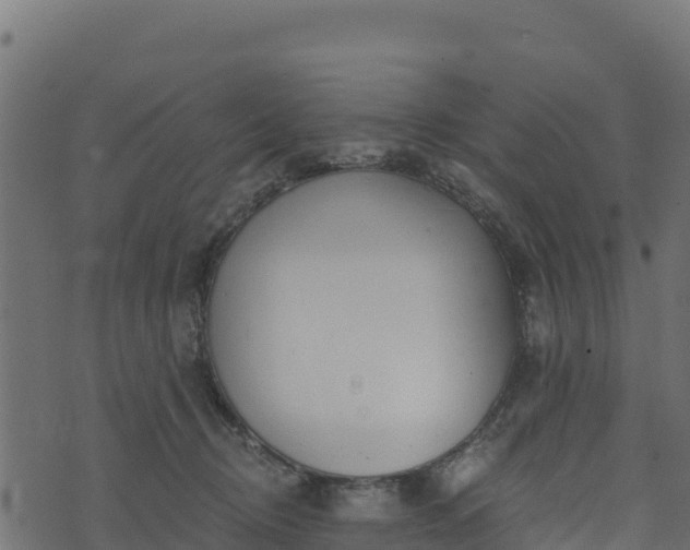 X0000073930370200608181120