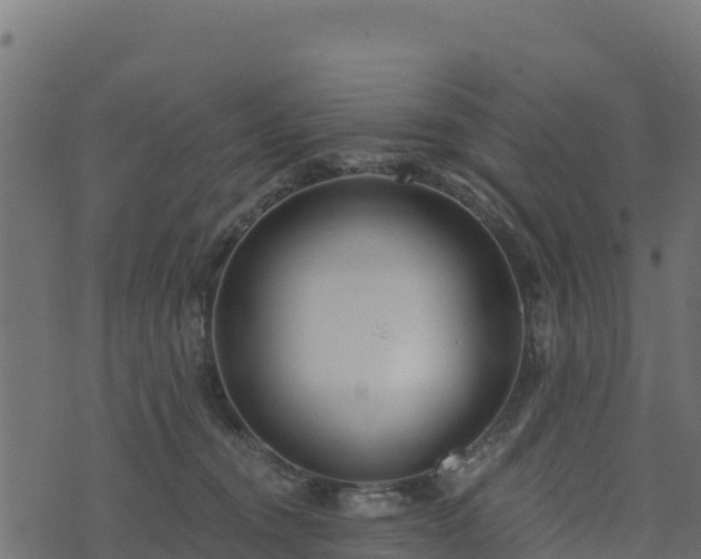 X0000073930372200608181120