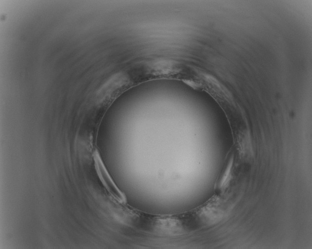 X0000073930376200608181120