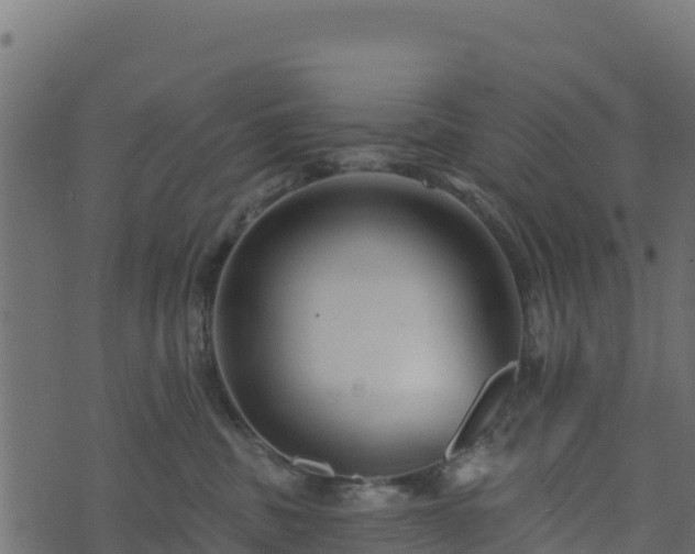 X0000073930379200608181120