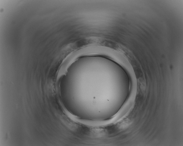 X0000073930380200608181120