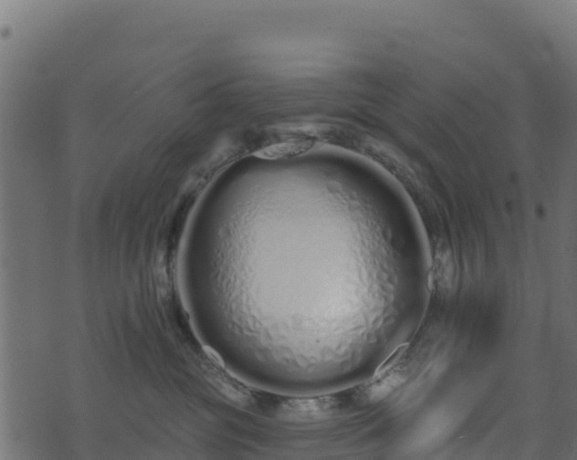 X0000073930381200608181120