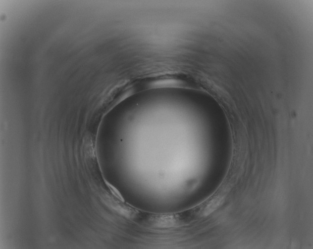 X0000073930384200608181120