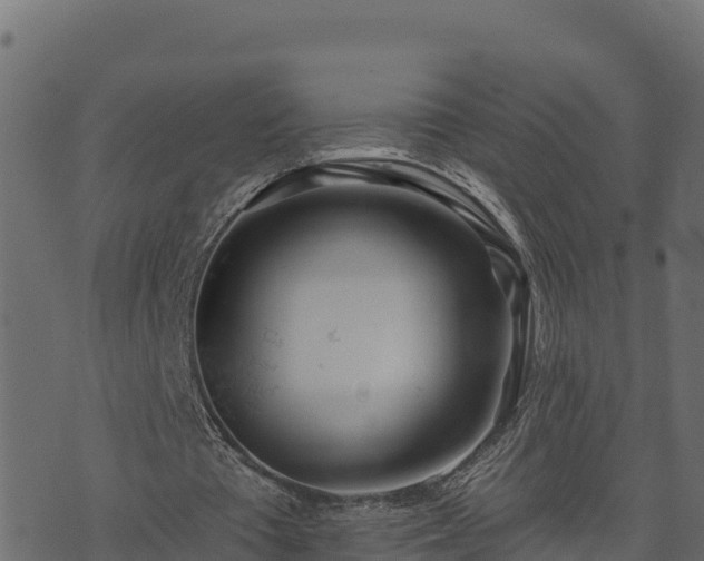 X0000073930385200608181120