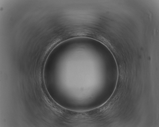 X0000073930386200608181120