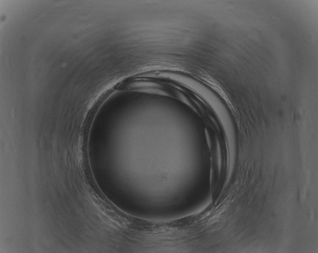 X0000073930387200608181120