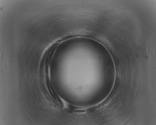 X0000073930388200608181120