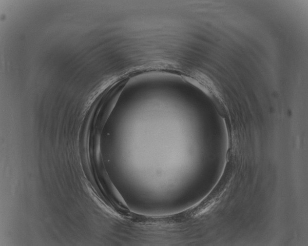 X0000073930389200608181120