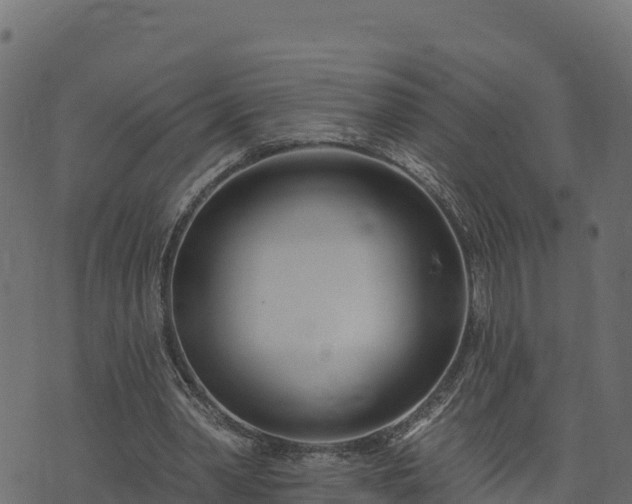 X0000073930390200608181120