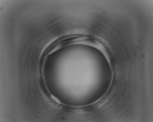 X0000073930392200608181120