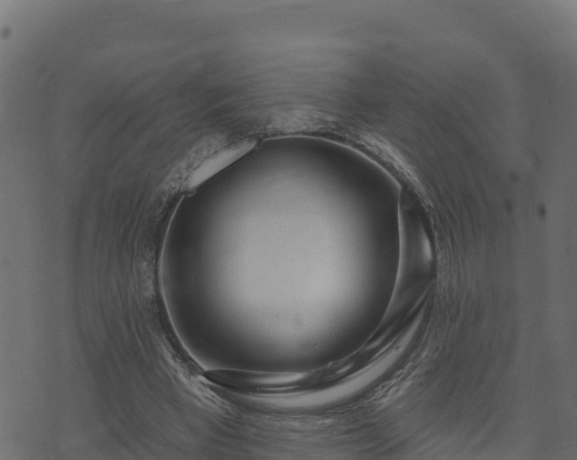 X0000073930393200608181120