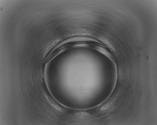 X0000073930397200608181120