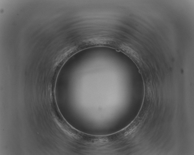 X0000073930398200608181120