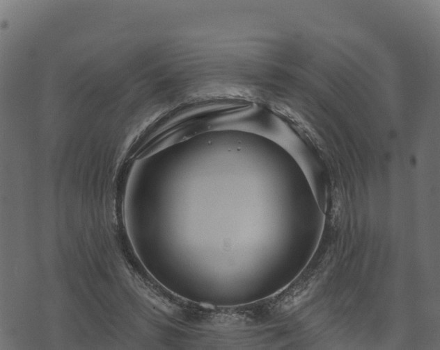 X0000073930399200608181119