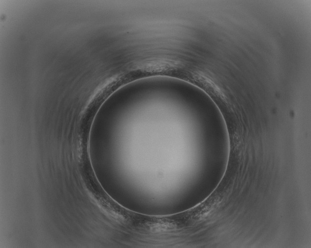 X0000073930400200608181119