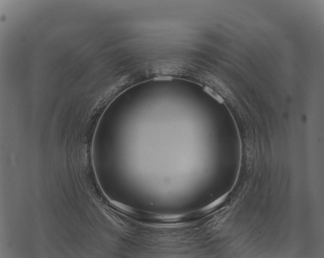 X0000073930401200608181119