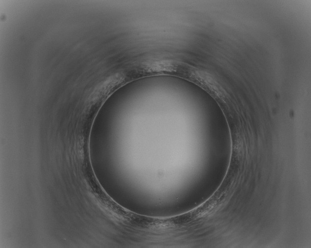 X0000073930402200608181119