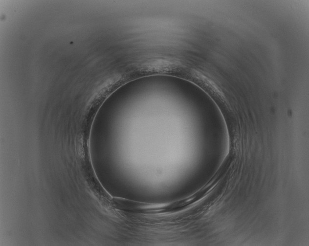 X0000073930403200608181119