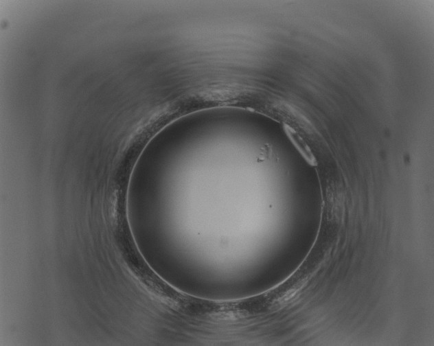 X0000073930404200608181119