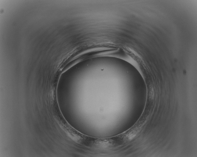 X0000073930405200608181119