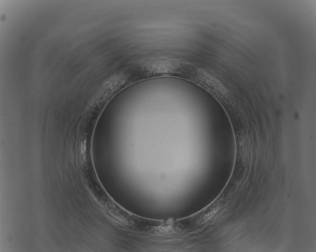 X0000073930406200608181119