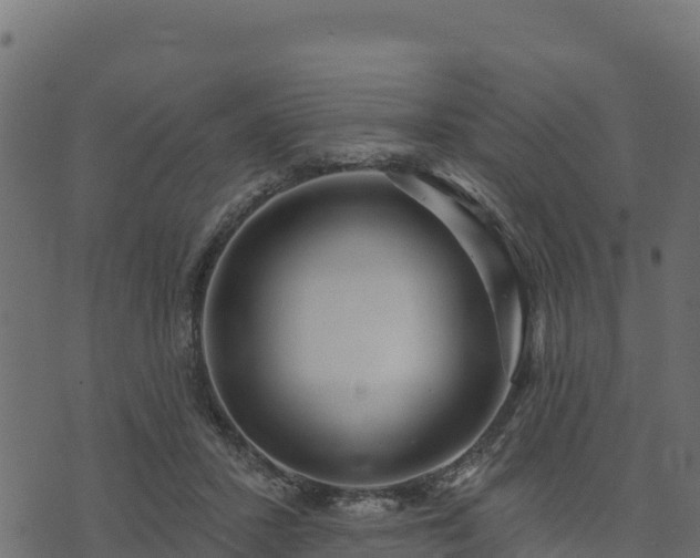 X0000073930407200608181119