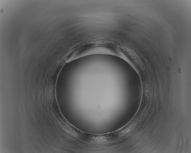 X0000073930409200608181119